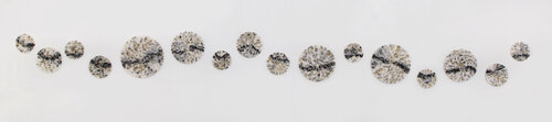 Oak of Winter by Verónica González Ugarte, 기타 매체 for Sale on Singulart