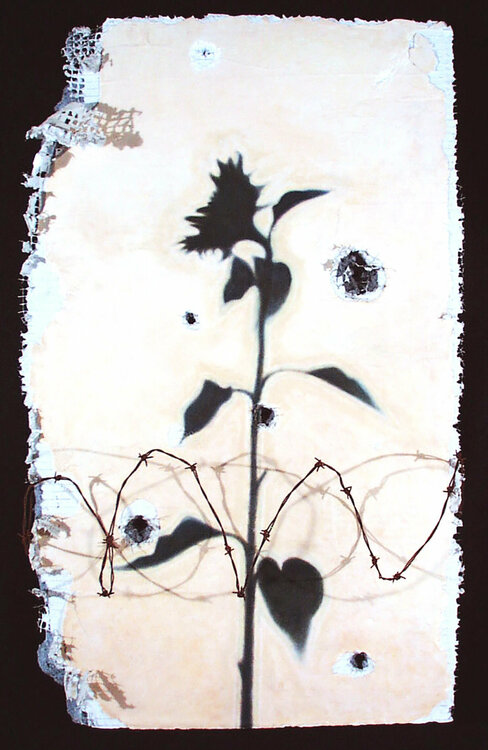 Sunflower #1 Paul Hamanaka
