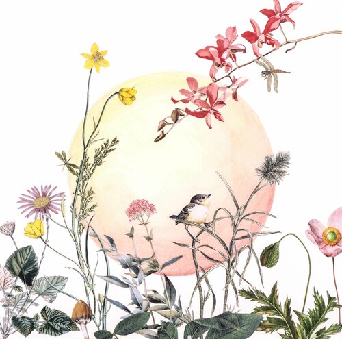 Papier-Kosies, Edition, Vogel by Renata Kos, 인쇄 for Sale on Singulart