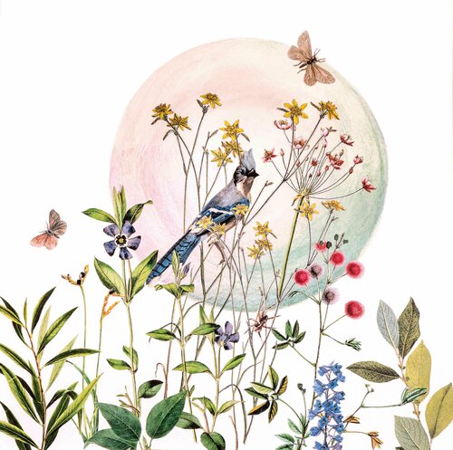 Papier-Kosies, Edition, Vogel groß by Renata Kos, 인쇄 for Sale on Singulart