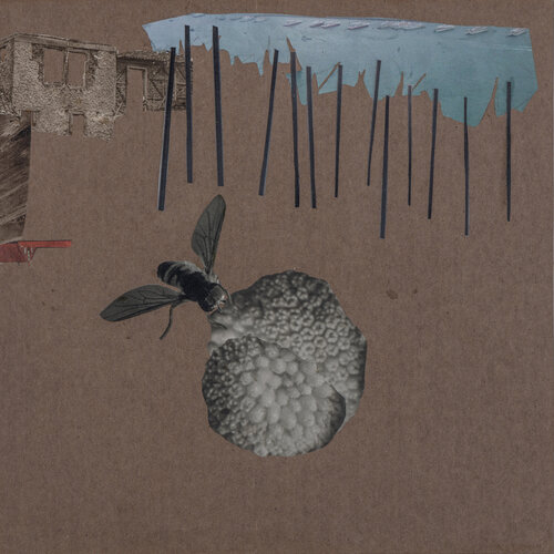 Der Himmel ist blau und die Erde ist rund, 2016 von Renata Kos, Werk auf Papier kaufen auf Singulart