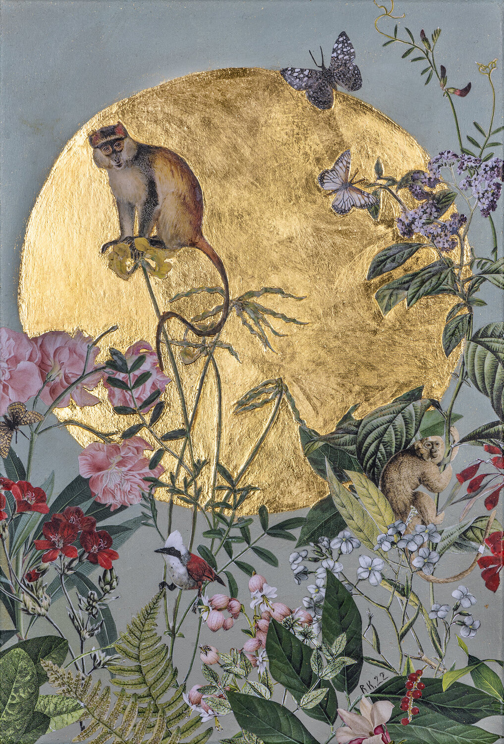 Goldie, (Affe), 2022 Renata Kos