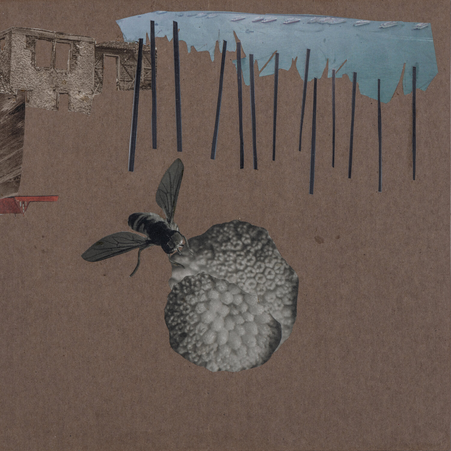 Der Himmel ist blau und die Erde ist rund, 2016 Renata Kos Werk auf Papier zu verkaufen