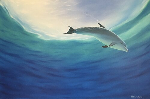 Bottlenose Dolphin von Andrew Hasler, Malerei kaufen auf Singulart