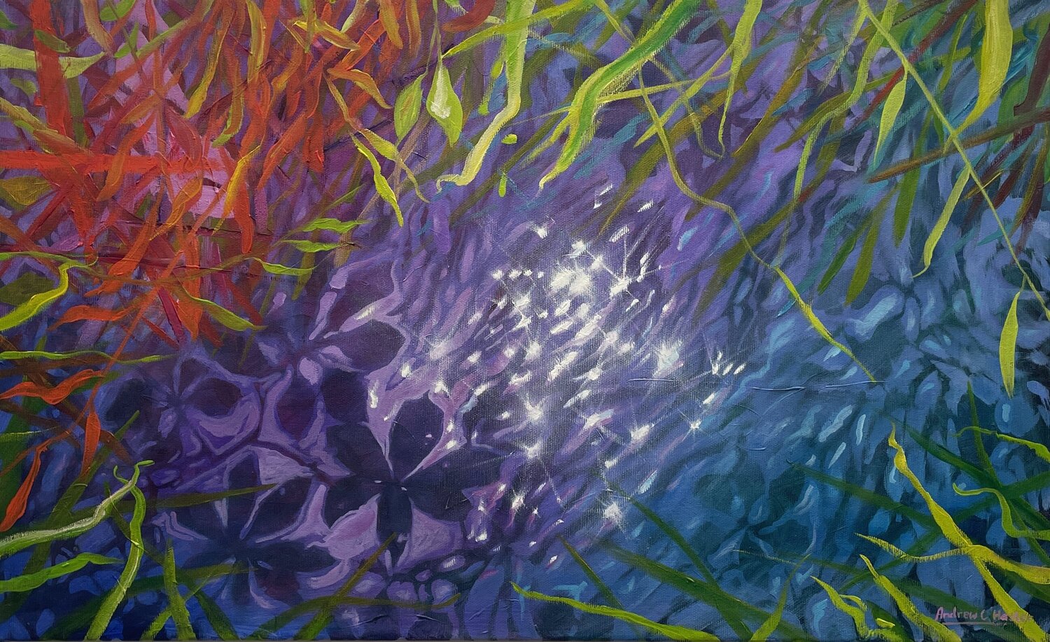 Reflections Andrew Hasler