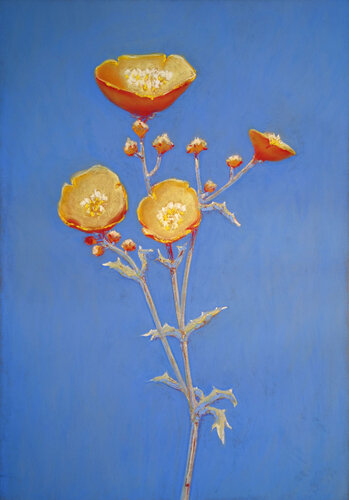 Bouton d'or by François Cusson, Painting for Sale on Singulart