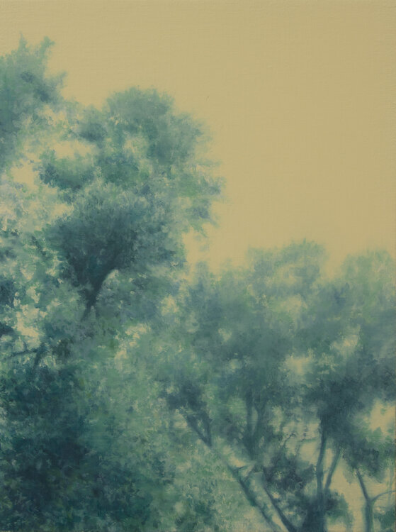 Ecos de Tarkovsky I José Antonio Ochoa
