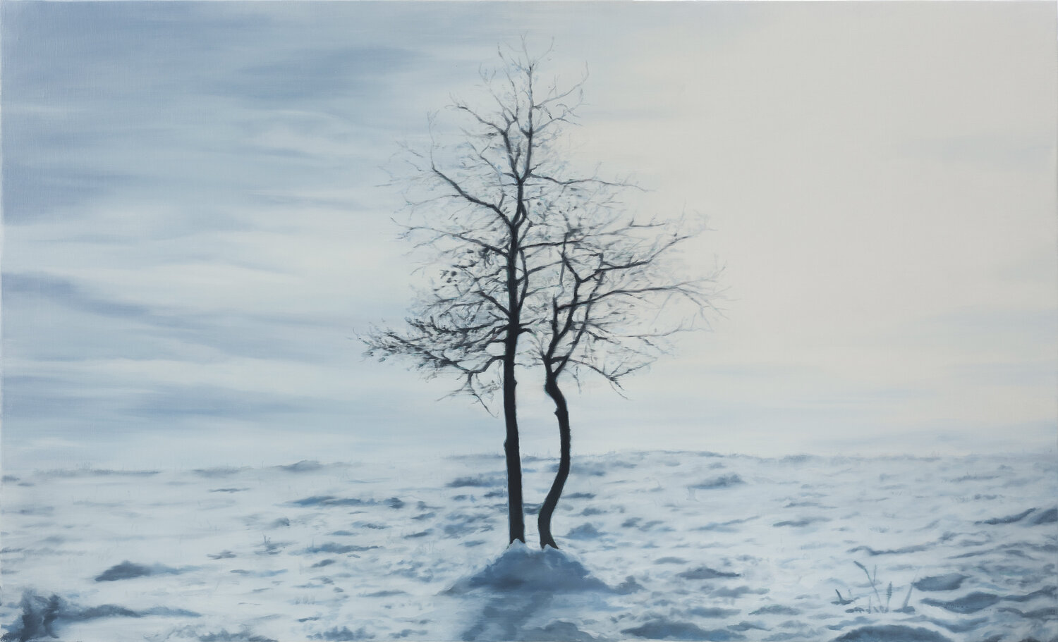 Winter I José Antonio Ochoa