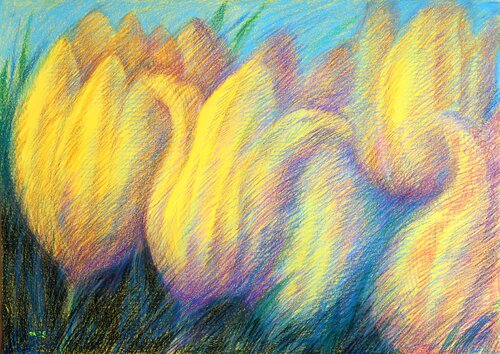 Tulips  Yellow 2 Rakhmet Redzhepov