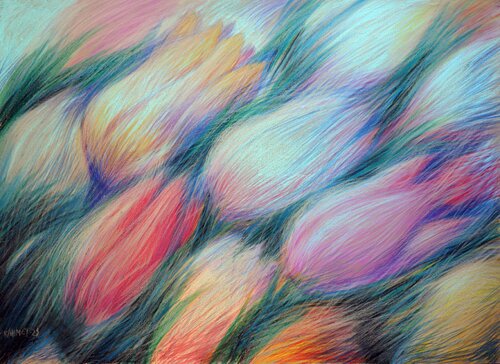 Tulips  Blue Rakhmet Redzhepov