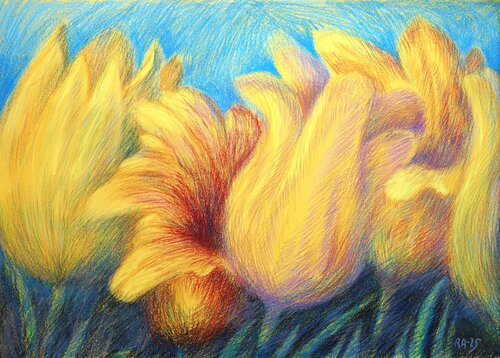 Tulips  Yellow 4 von Rakhmet Redzhepov, Werk auf Papier kaufen auf Singulart