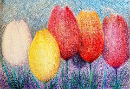 Tulips White 2 by Rakhmet Redzhepov, Work on Paper for Sale on Singulart