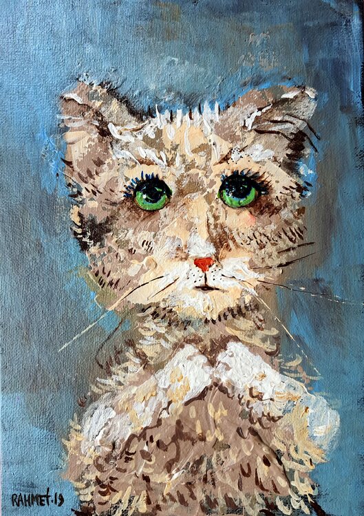 STEPHEN. Rakhmet Redzhepov