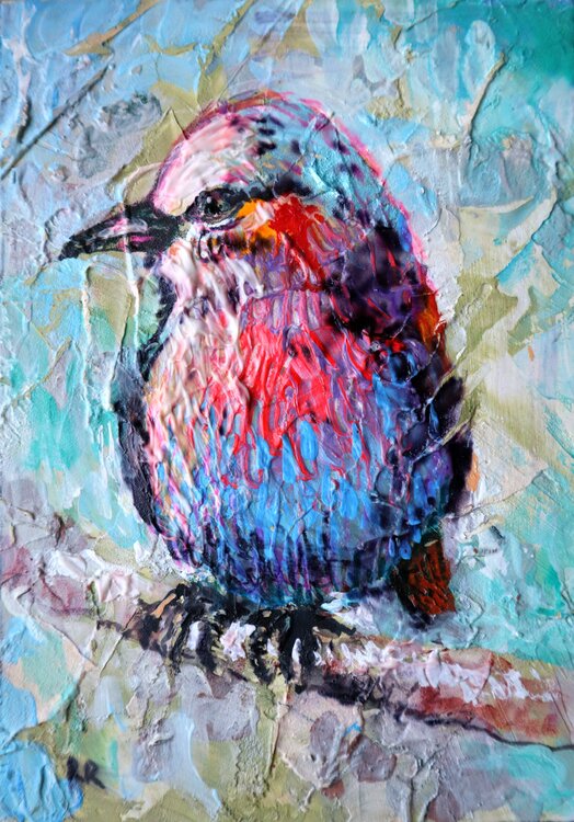 BIRD 5 Rakhmet Redzhepov