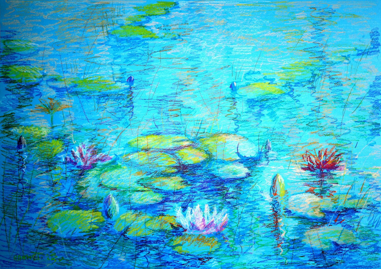 Woter Lilies 5 Rakhmet Redzhepov