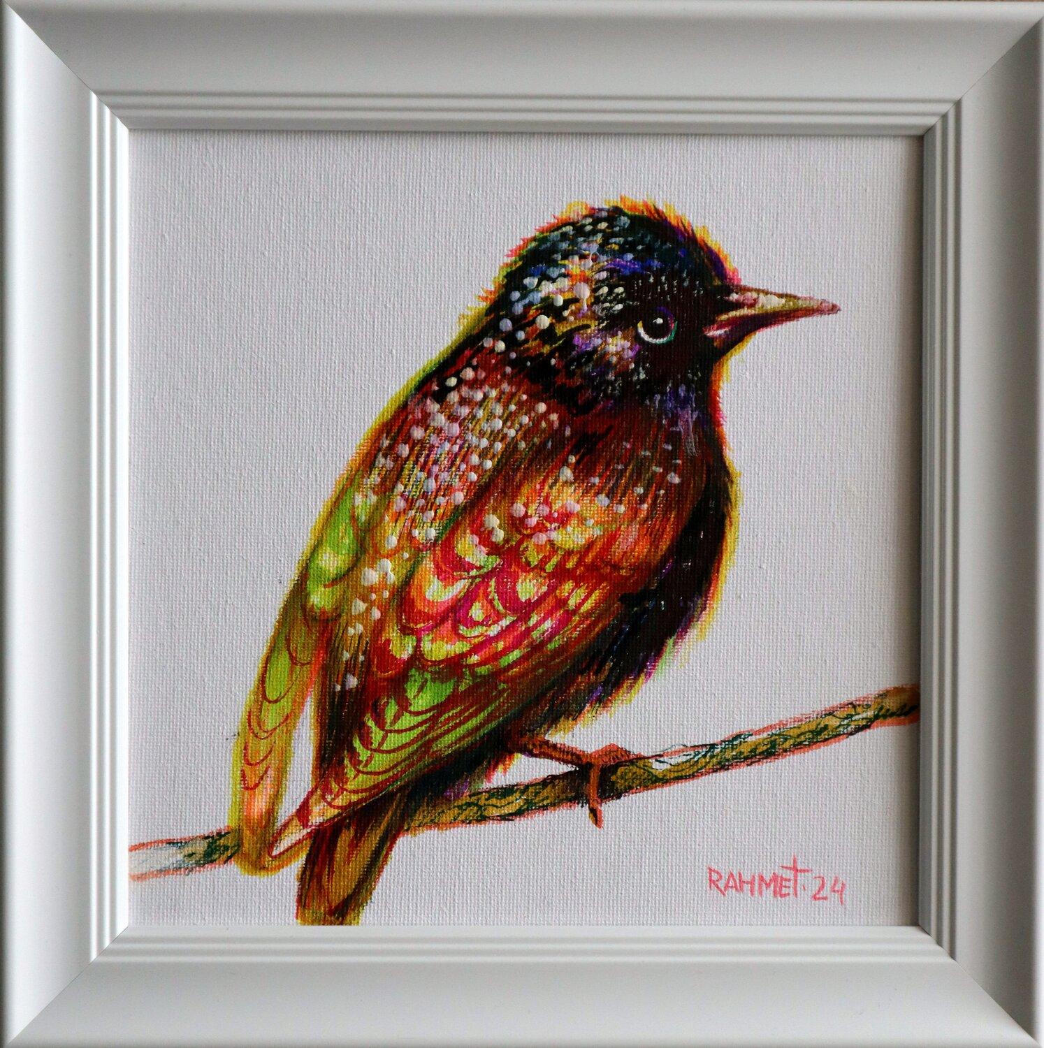 STARLING Rakhmet Redzhepov