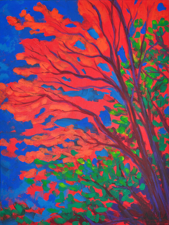 Autumn Colours Zelie Alice