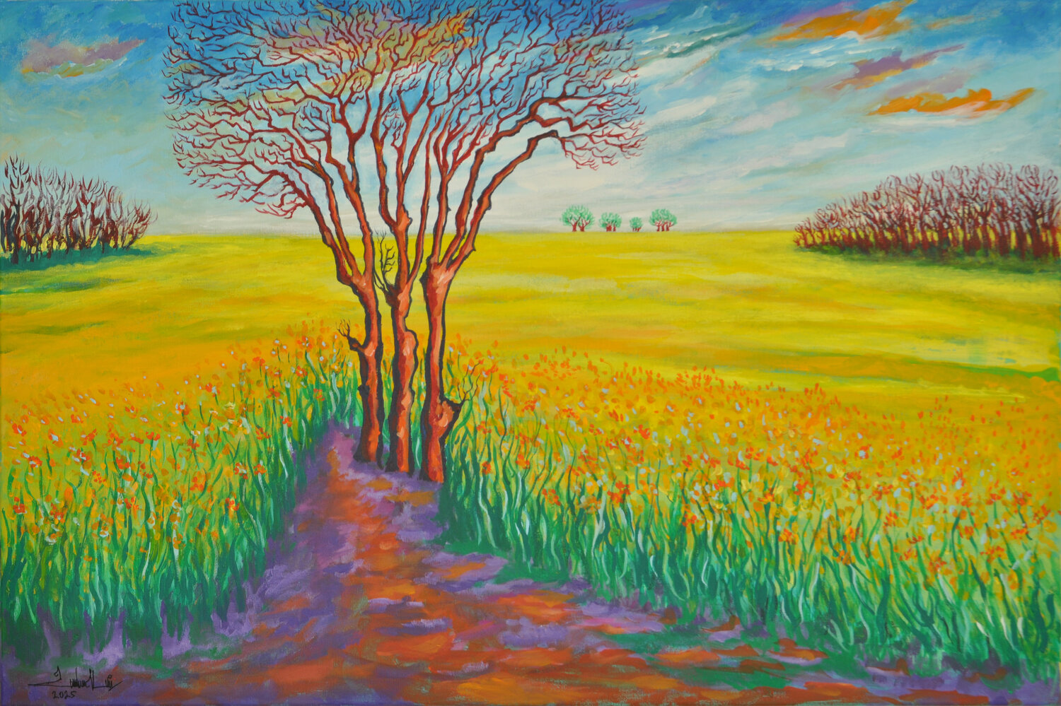 Colza Bloom in April Zelie Alice