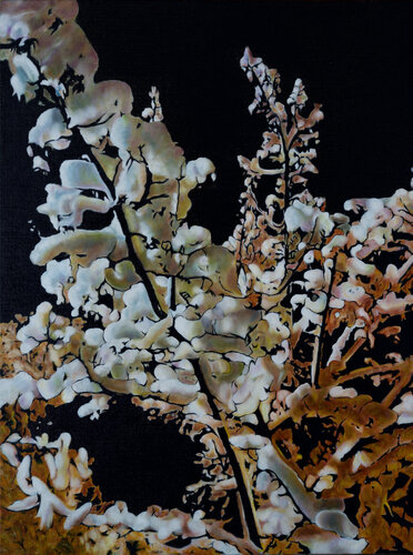Neige de Nuit von Frédéric Choisel, Malerei kaufen auf Singulart