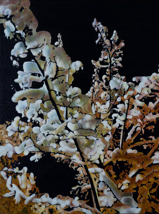 Neige de Nuit Frédéric Choisel