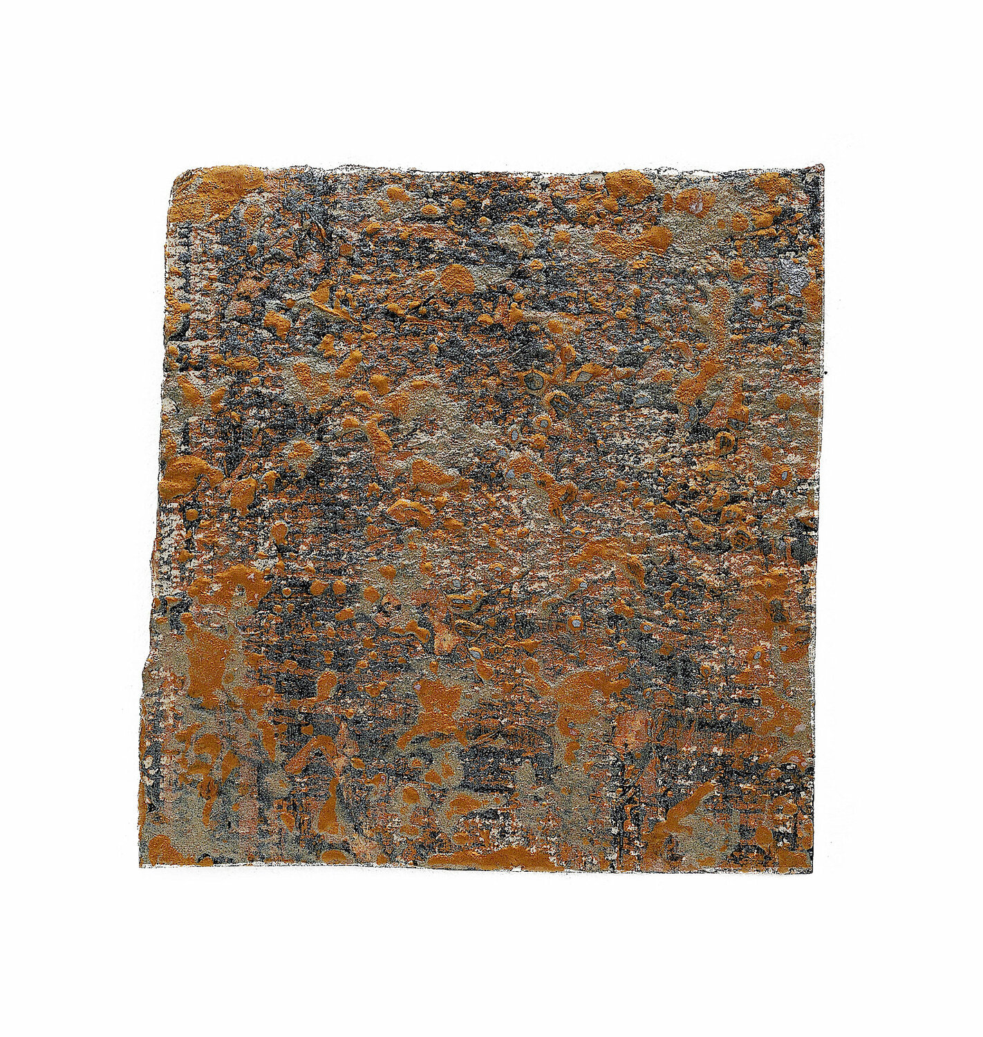 Pluie du Ciel 6 Frédéric Choisel