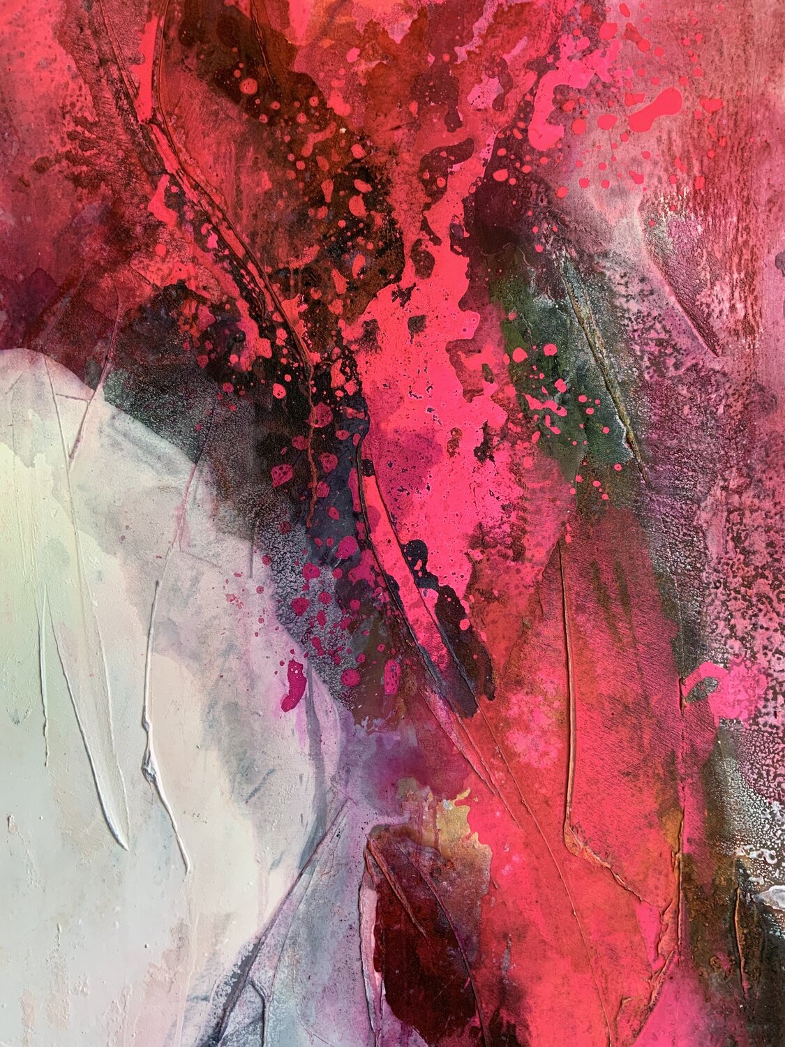 Pulse of Passion Claudia Dietschi