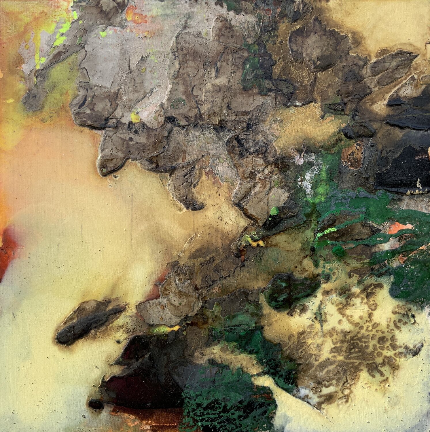 Wurzelkraft 2 Claudia Dietschi