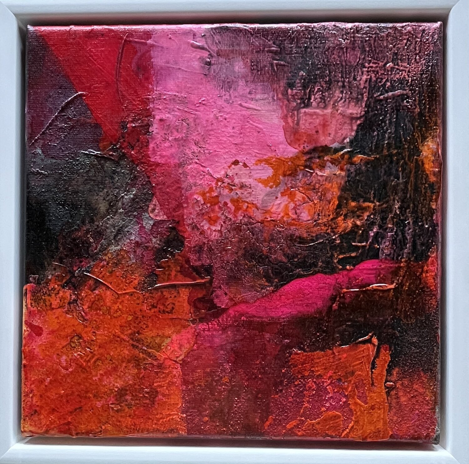 Feuer im Morgenrot Claudia Dietschi