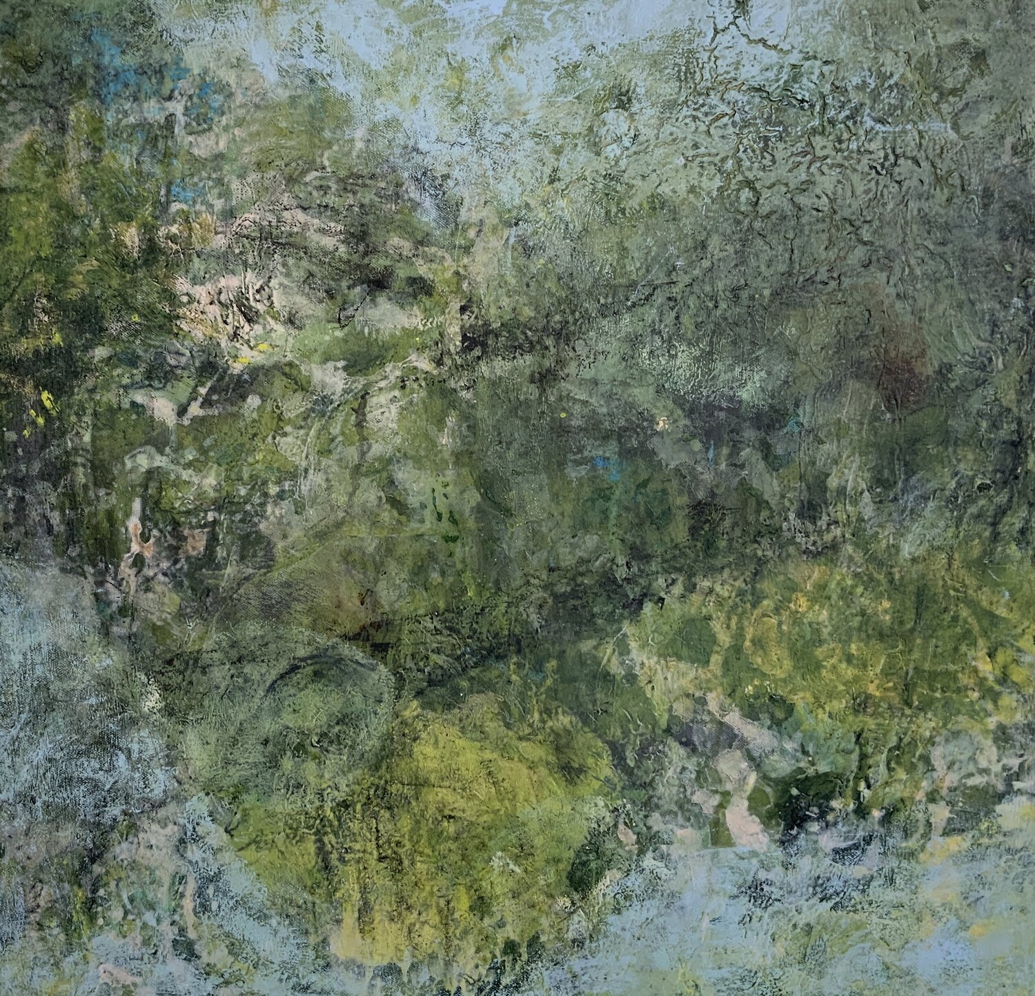 Roots of Silence Claudia Dietschi
