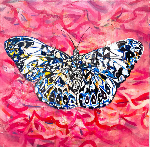 Hamadryas Butterfly van Patrick Nunziata, Schilderij te koop op Singulart