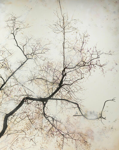 Play of Light - branched von Katja Grandpierre, Malerei kaufen auf Singulart