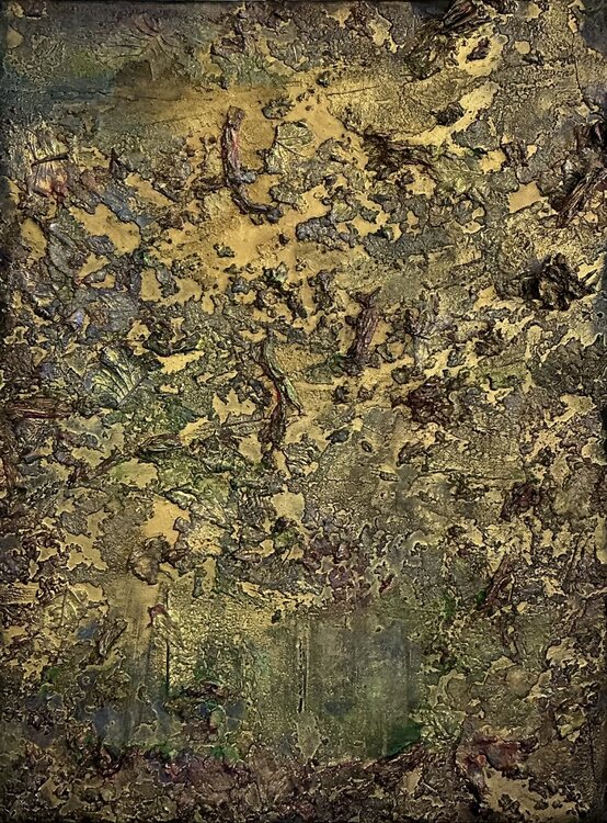 Fragmente der Natur Magdalena Oppelt