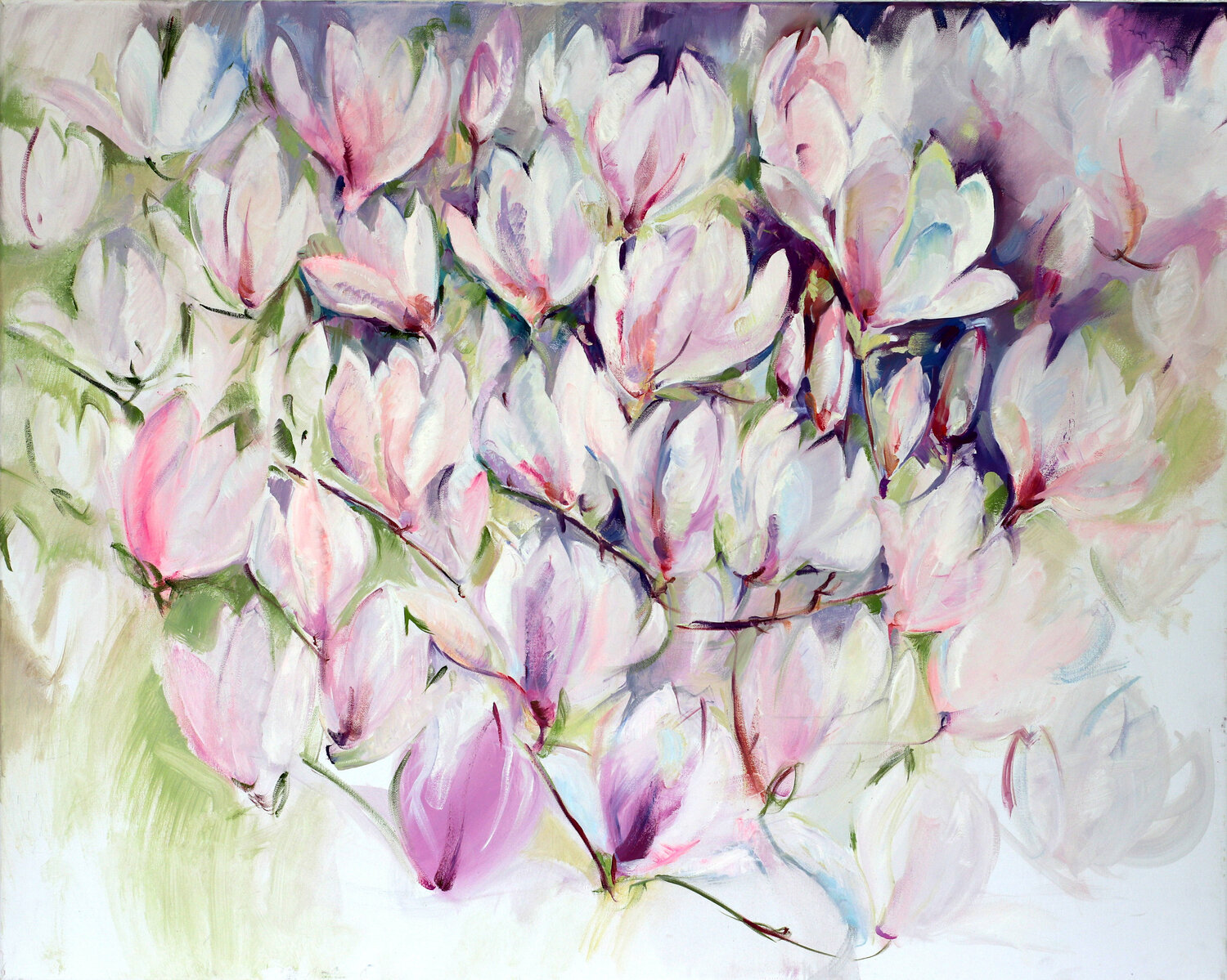 Magnolie Elena Starostina