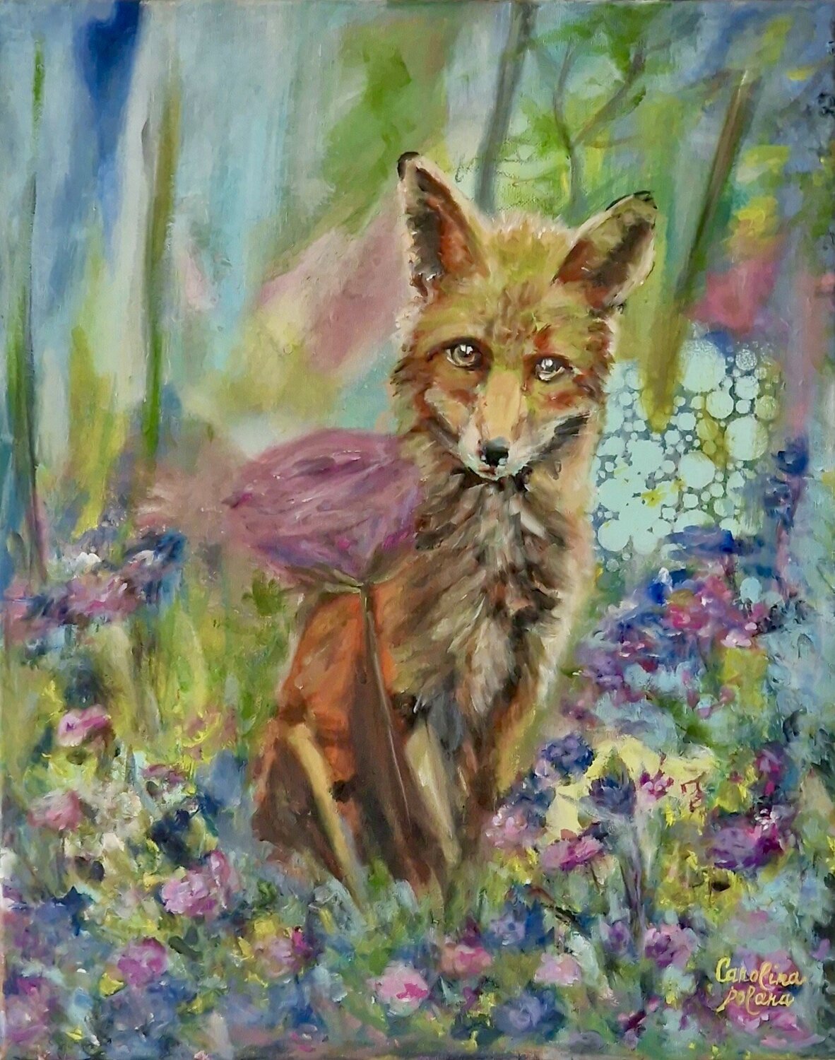 Fox Carolina Polara