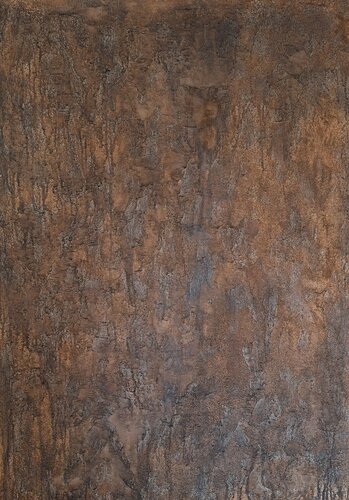 Corteccia di Patrizia Martiradonna, Pittura in vendita su Singulart