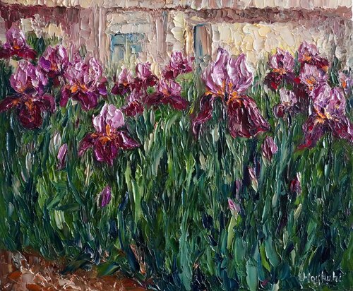 Irises van Haykuhi Khachatryan, Schilderij te koop op Singulart