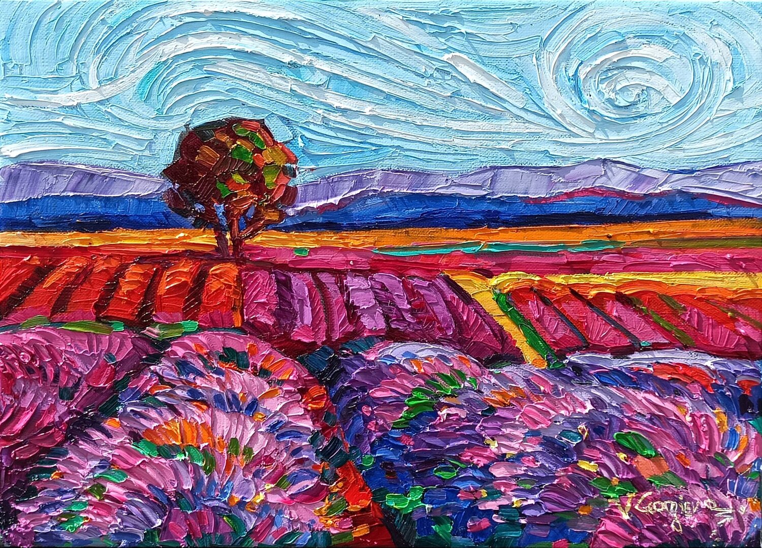 Lavender in the day Vanya Georgieva