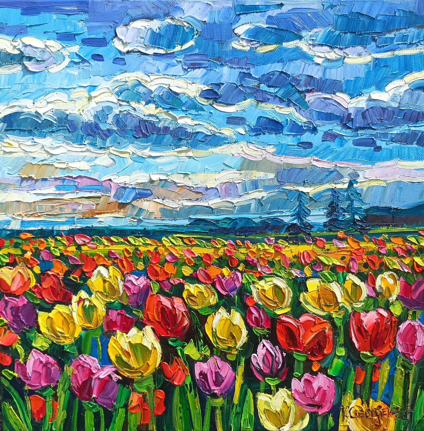Tulips fields Vanya Georgieva