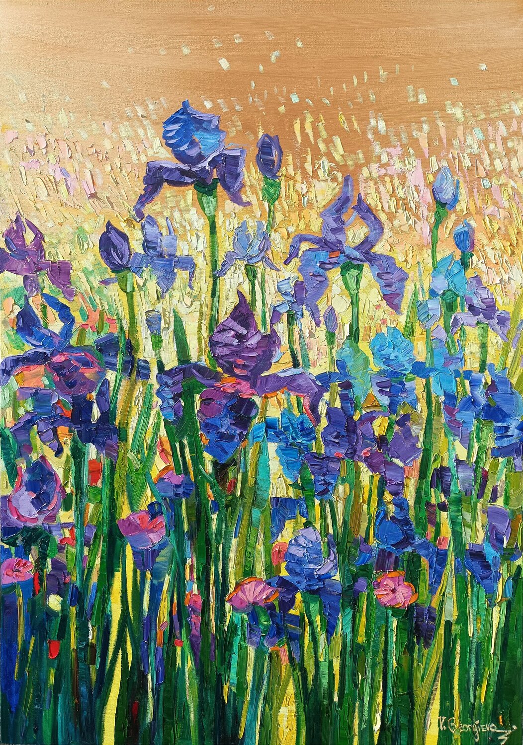 Light on the irises Vanya Georgieva