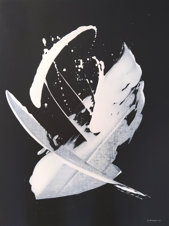 Black and White - La méduse et la plume Sylvie Jousselin