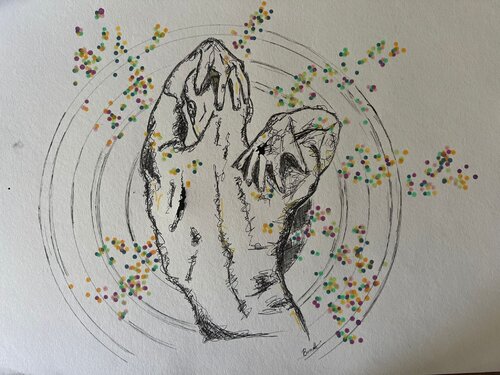 liberazione -Mapplethorpe tributo serie #3 by Elisa Bonotti, Painting for Sale on Singulart