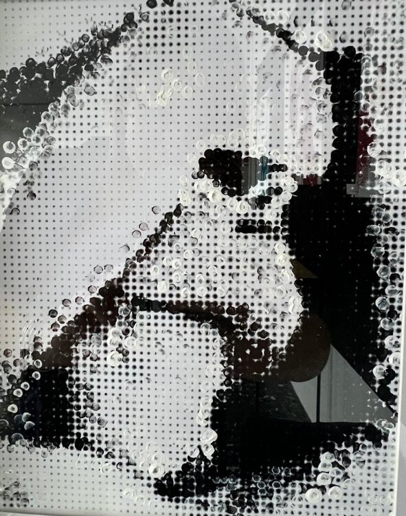 In un sogno Elisa Bonotti