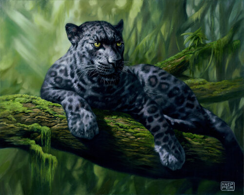 Queen of the jungle van Michael Knepper, Schilderij te koop op Singulart