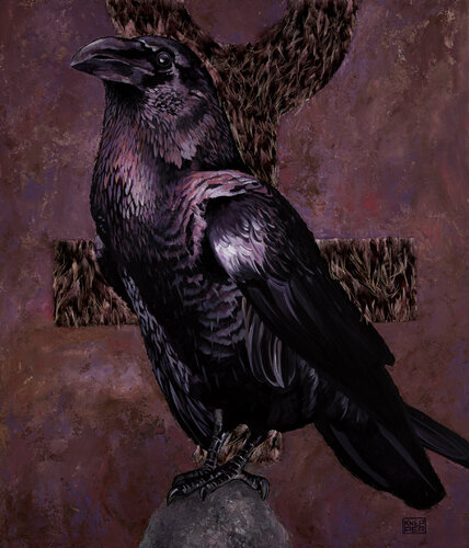 FEMININE RAVEN Michael Knepper