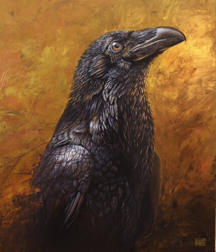 CORVUS AUREUS by Michael Knepper, Painting for Sale on Singulart