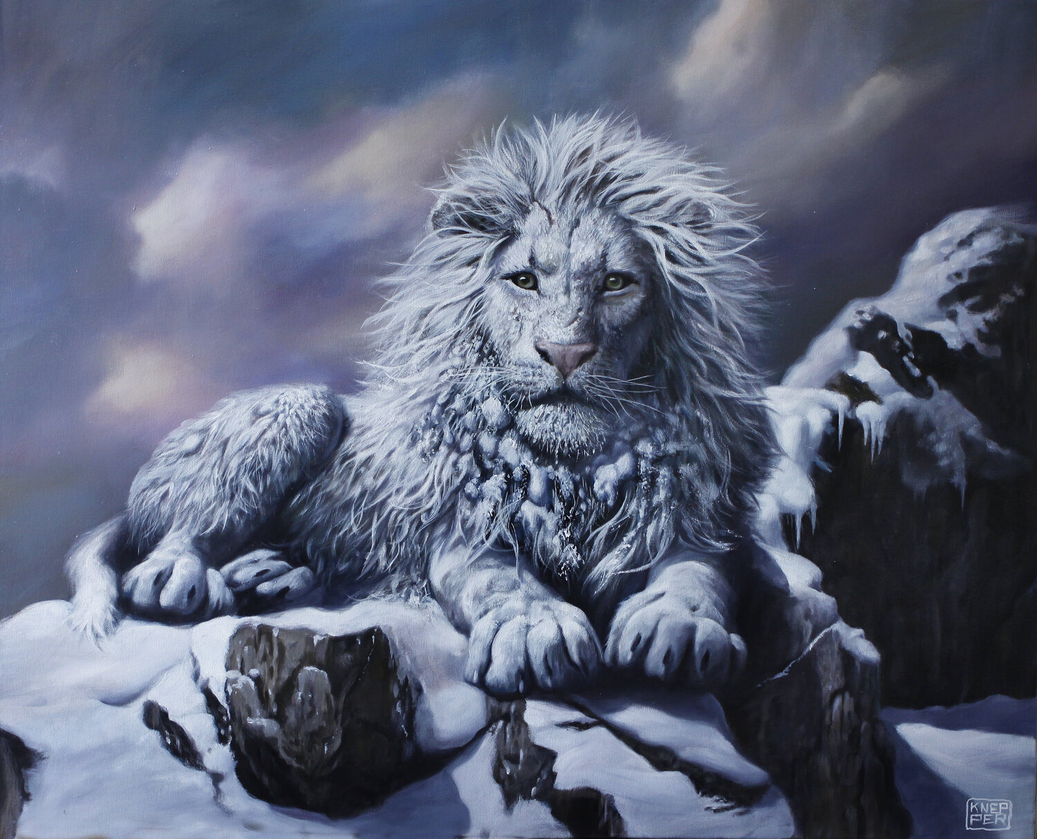 King of shattered dreams Michael Knepper