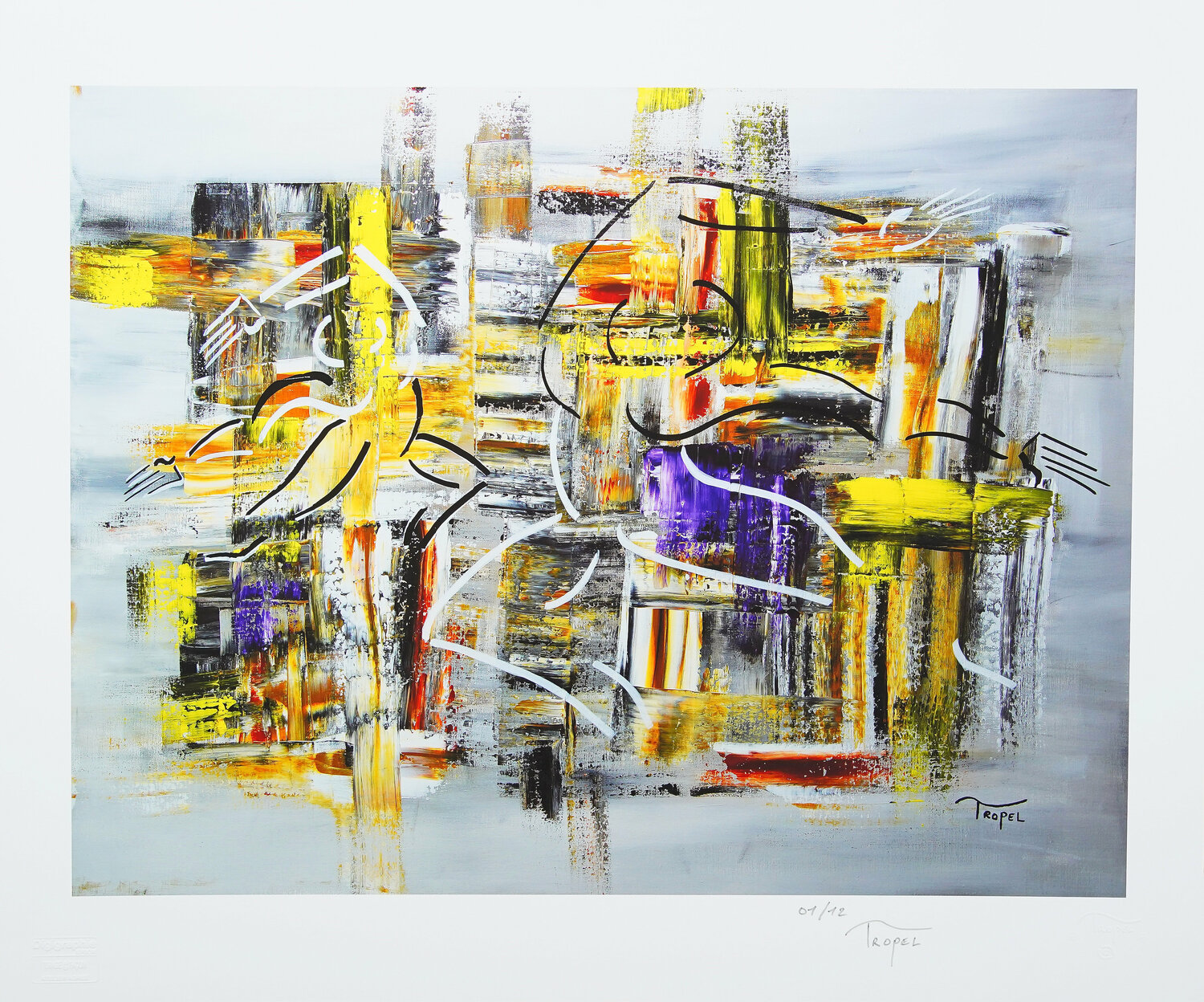 ❖  Digigraphie  ❖   «  Dance Urbaine  » Tropel