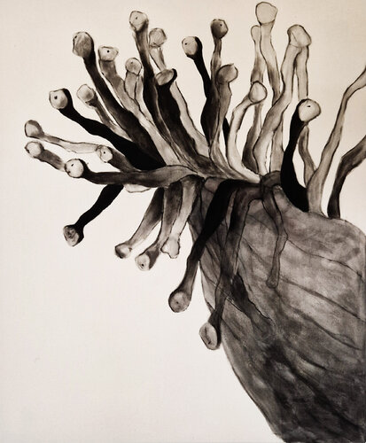 Sea anemone by Natacha Di Nucci, 회화 for Sale on Singulart