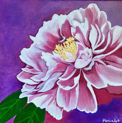 Peony love Amelie Monira Egenolf