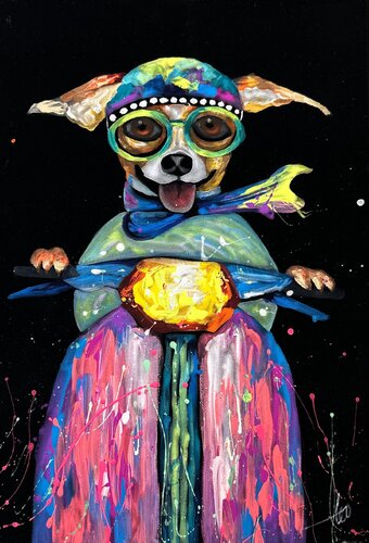 Chihuahua Dog Pop Color Velvet von Hani Badawi Leo, Malerei kaufen auf Singulart